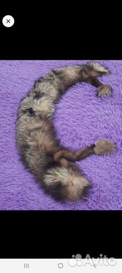 Чернобурка воротник