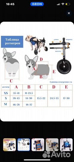 Инвалидная коляска для собак