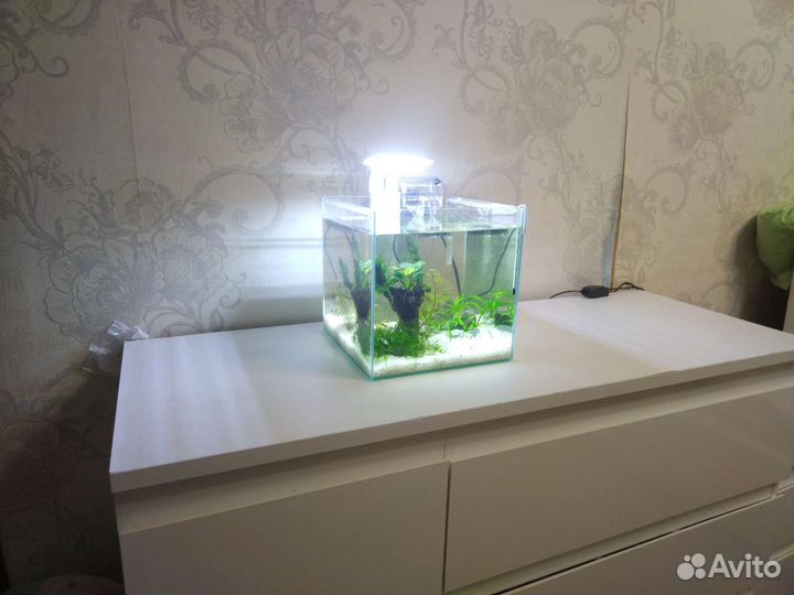 Подарочный мини-аквариум 