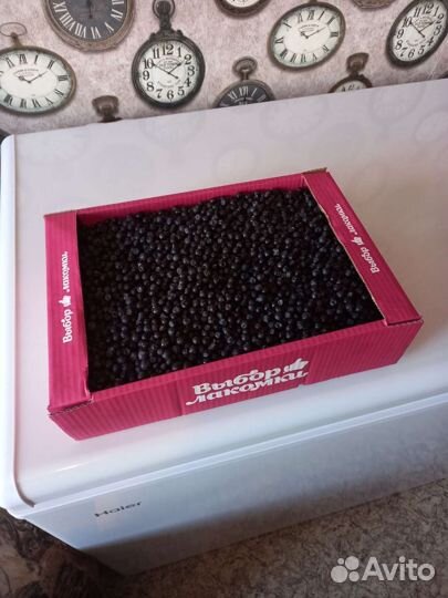 Клюква, брусника