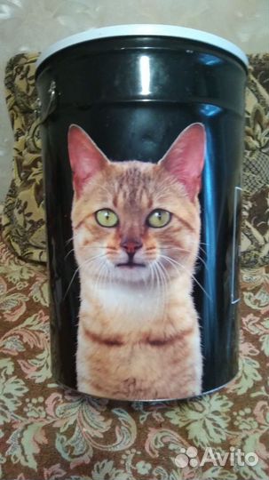 Всё нужное для питомцев