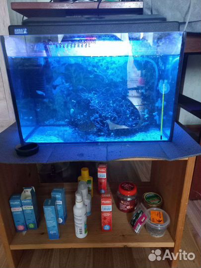 Аквариум