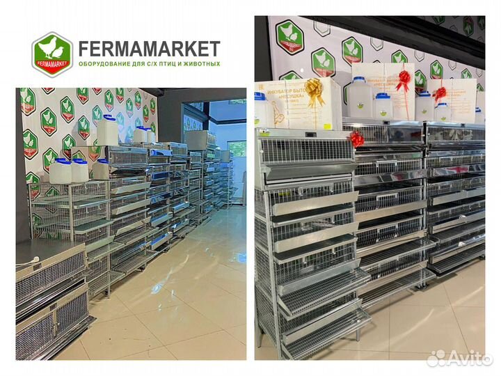 Клетки для перепелов Энгельс