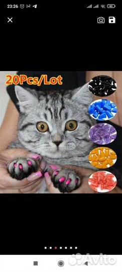 На когти для котов