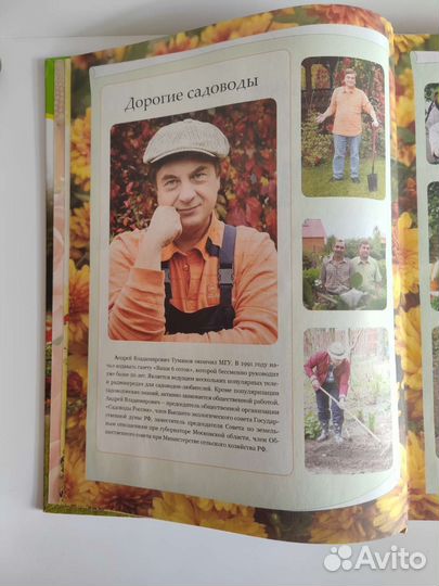 Энциклопедия дачника, 10 000 полезных советов