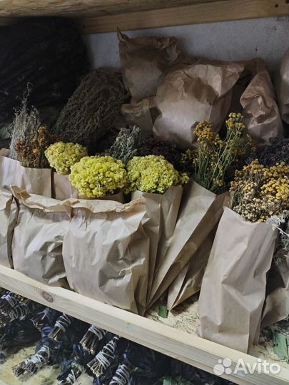 Веники для бани дуб, берёза, клен, пихта, липа