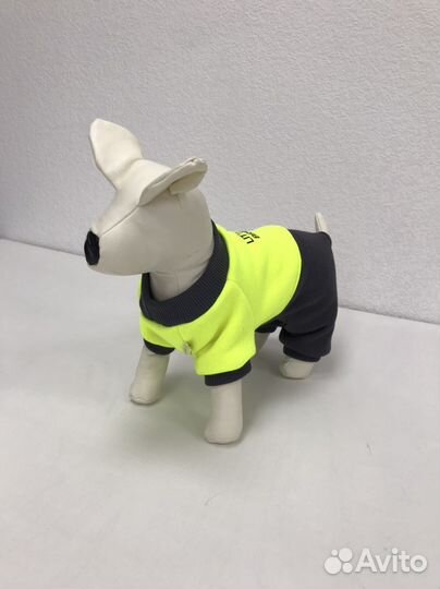 Комбинезон для собаки