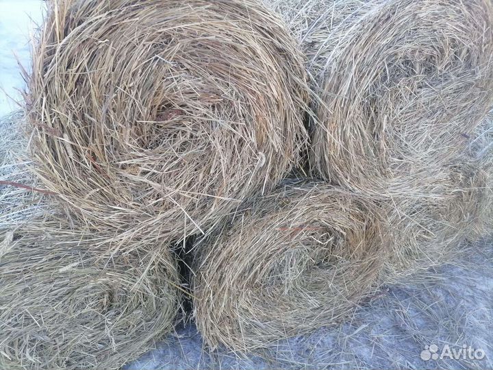 Сено в рулонах