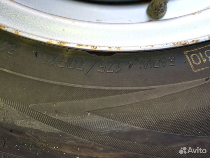 Viatti Brina Nordico V-522 175/70 R14