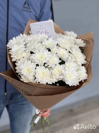 Хризантемы куст обьемный букет