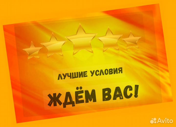 Грузчики Вахта прожив. +Питание Выплата еженед. /О