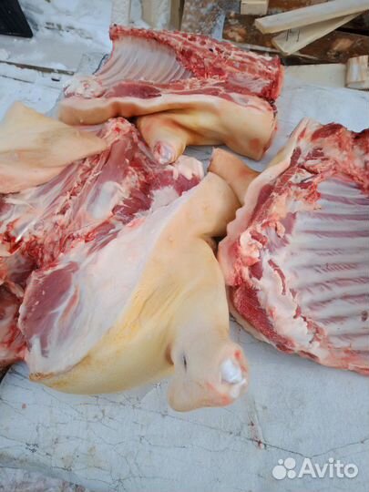 Мясо свинина домашняя