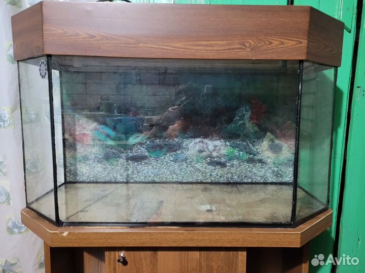 Аквариум