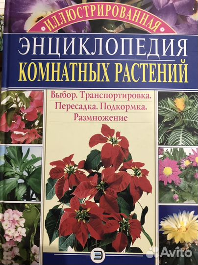 Энциклопедия
