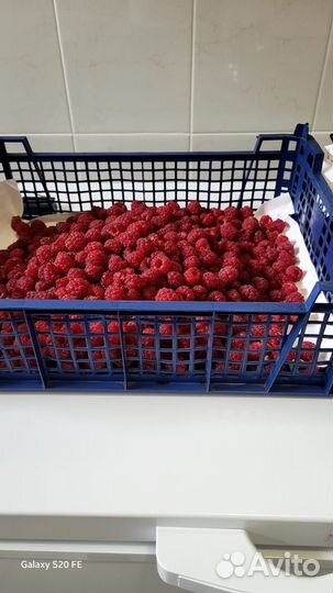 Малина ягоды свежая