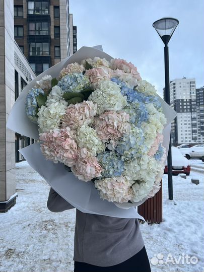 Гортензия 39 шт букет гигант