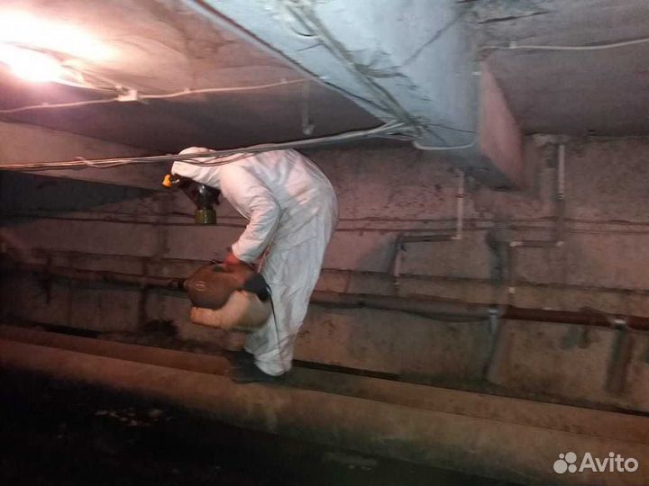 Дезинфекция