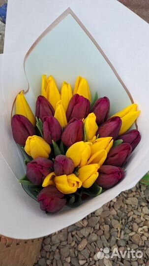 Продажа тюльпанов