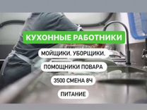 Посудомойщик в школьную столовую короткая смена