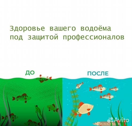 Хлорелла биологическая очистка водоёмов