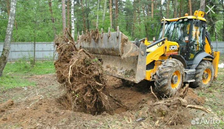 Вывоз веток, корней и стволов после спила