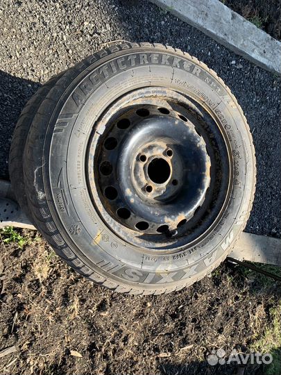 Maxxis ArcticTrekker NP3 175/70 R13 82T