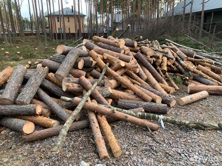 Отсыпка участка, вывоз грунта, песок щебень