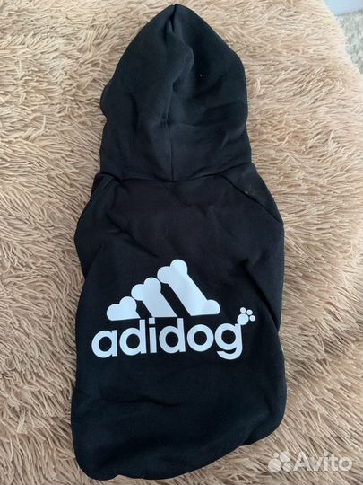 Одежда для собак