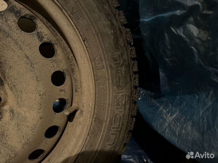 Колеса 205/55/16 nordman 5 ford focus