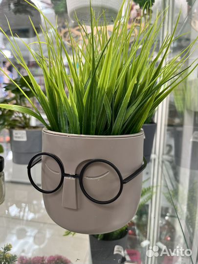 Кашпо Стив с травкой