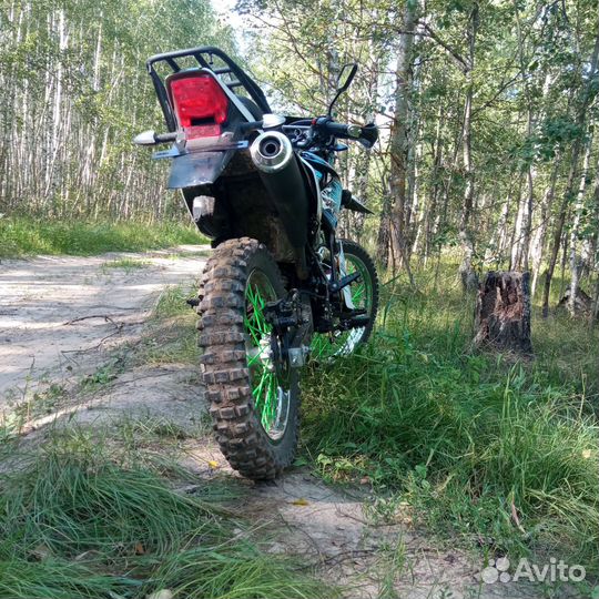 Racer Panther 300
