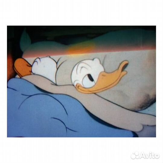 Каждый любит Дональда (Мультфильм-DVD)