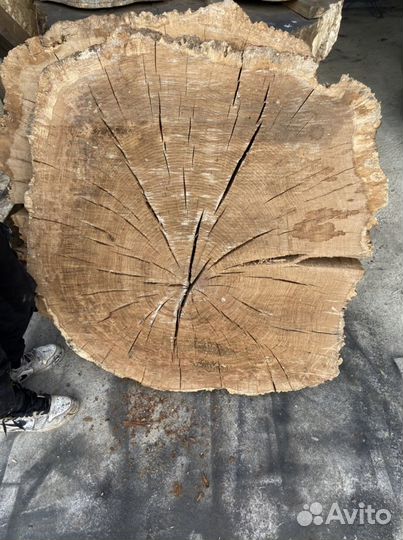 Торговый спил дуба