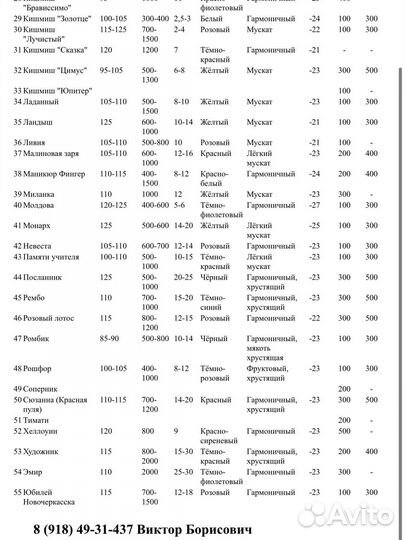 Саженцы винограда(вегетирующие)