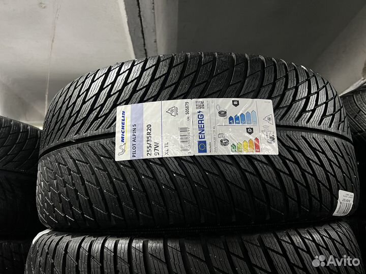 Michelin Pilot Alpin 5 255/35 R20 и 315/30 R21 98W