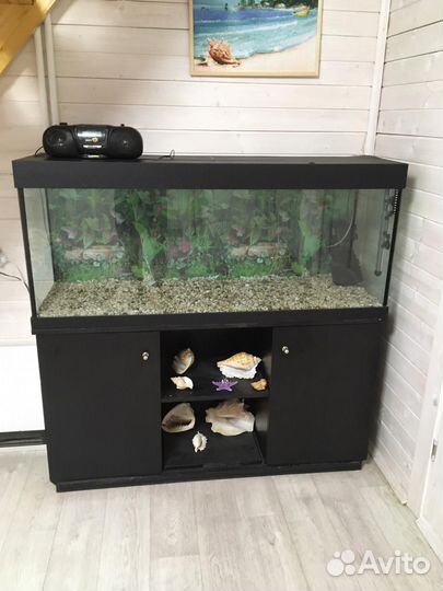 Аквариум