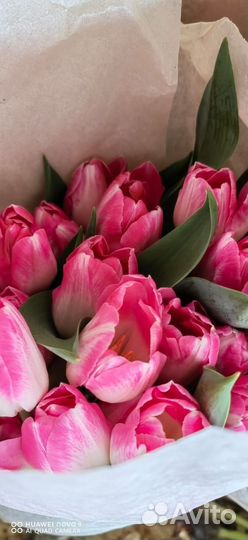Тюльпаны подарочный набор
