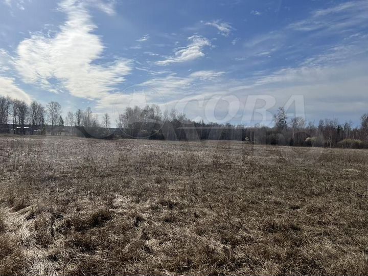 Участок 6 га (СНТ, ДНП)