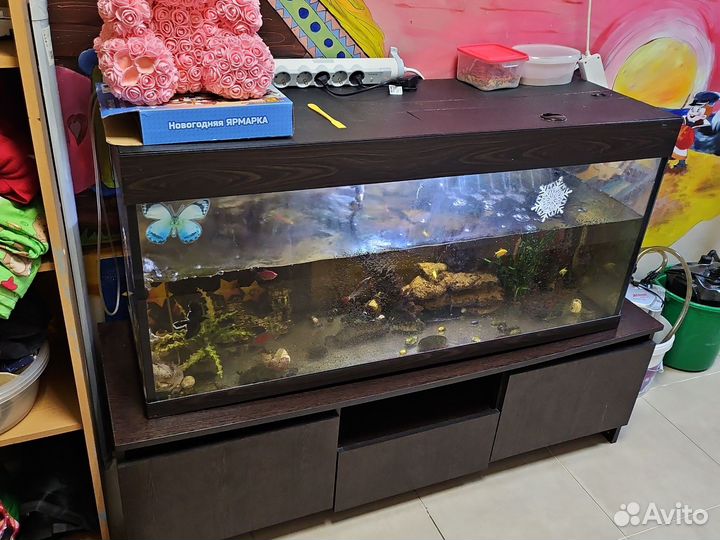 Аквариумные рыбки