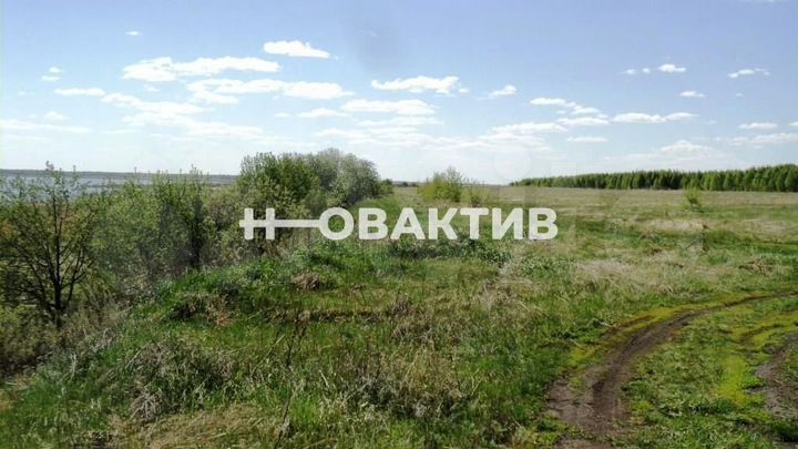 Участок 45 га (промназначения)