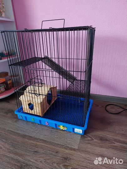 Клетка для шиншиллы, белки дегу