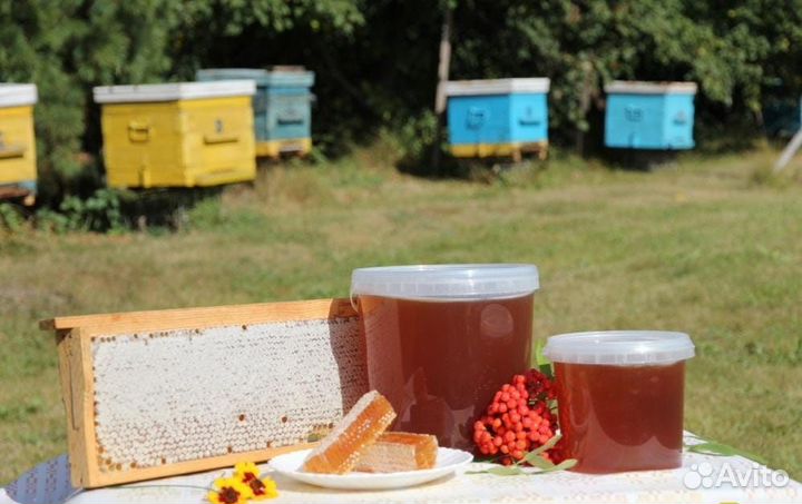 Мед 2023г натуральный