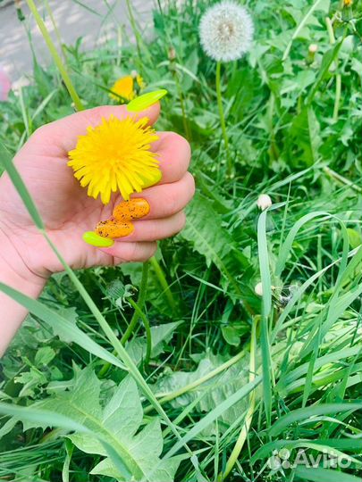 Красота и здоровье