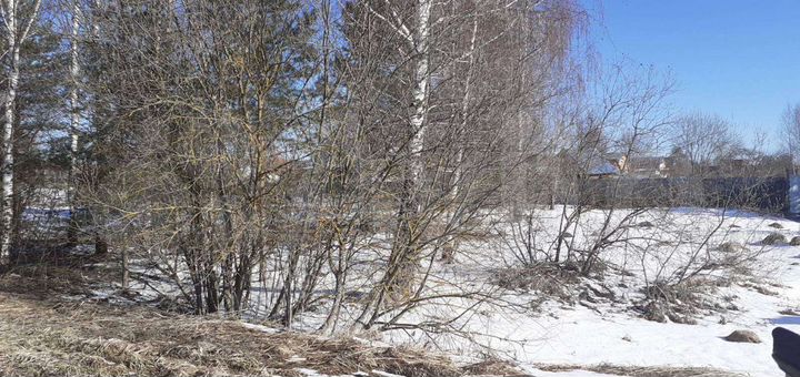 Участок 11 сот. (ИЖС)