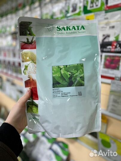 Семена шпината Аполло