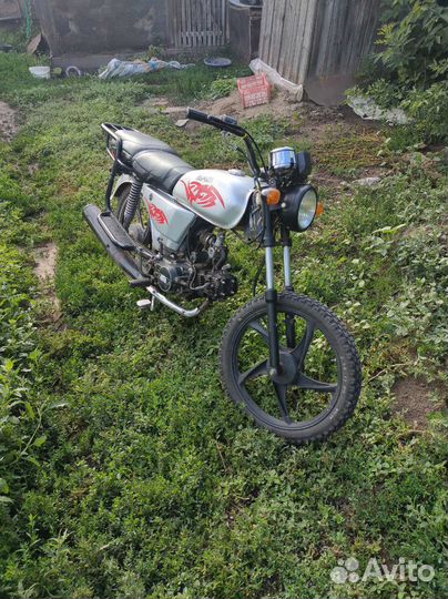 Alpha sport