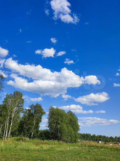Участок 12 сот. (СНТ, ДНП)