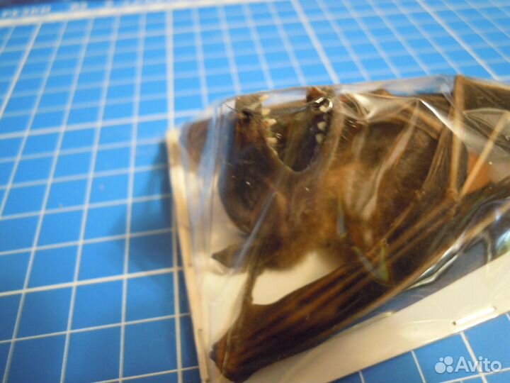 Чучела для Ани