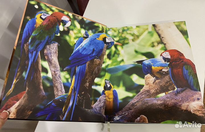 Книги Энциклопедия животных, Карты России