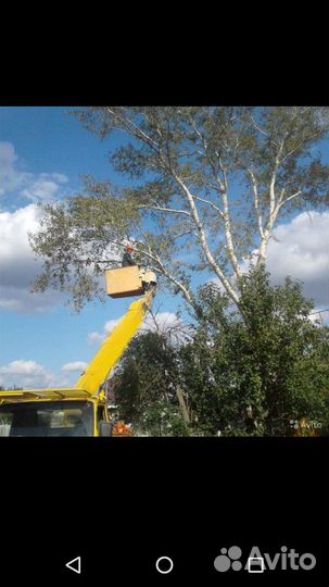 Спил деревьев любои сложности